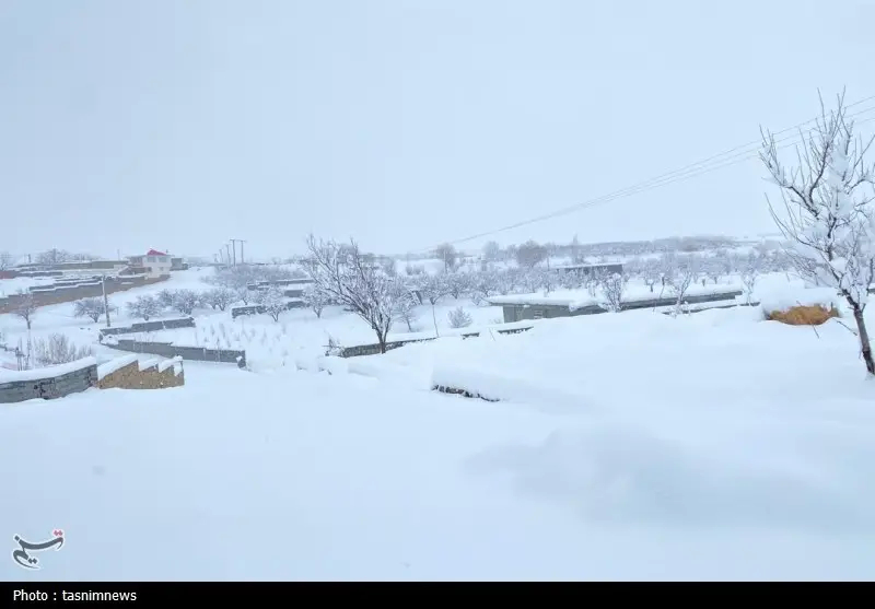اخبار استان کهگیلویه و بویراحمد , 