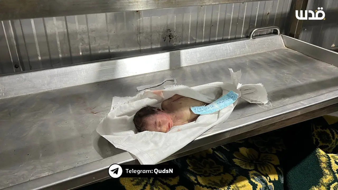 شهادت نوزارد یک ماهه فلسطینی بر اثر سرما در غزه+ عکس