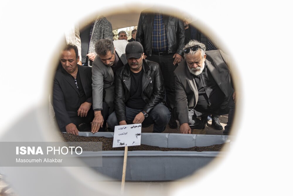 خاکسپاری همایون ارشادی 2