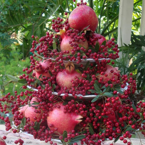 تزیین سفره شب یلدا