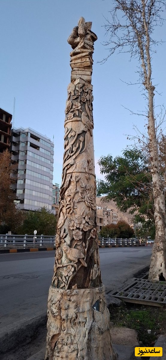 درخت
