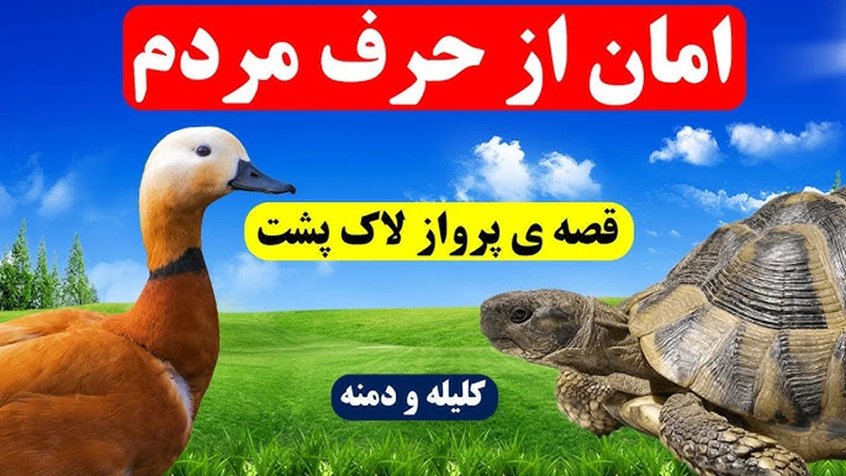 داستان سنگ پشت پرحرف 2