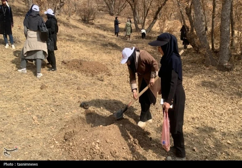 مادر , اخبار استان کهگیلویه و بویراحمد , 