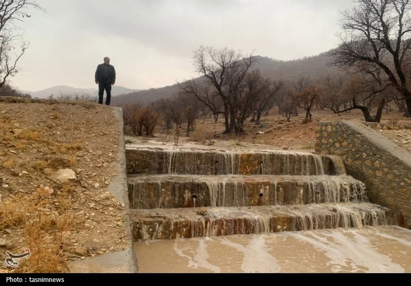 سازمان منابع طبیعی , اخبار استان کهگیلویه و بویراحمد , 