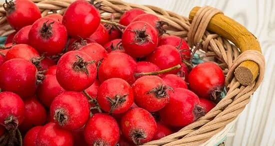 میوه‌ای برای سلامت قلب و آرامش روان