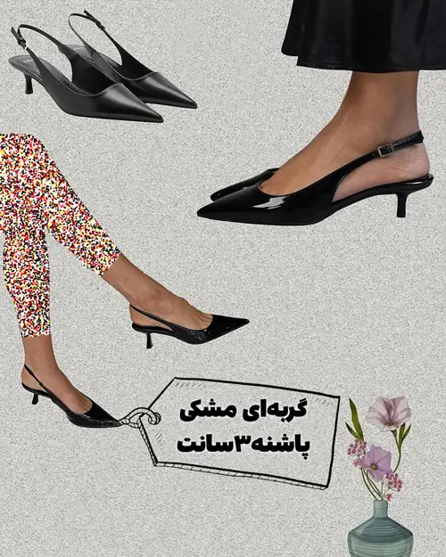 کفش‌های همیشگی