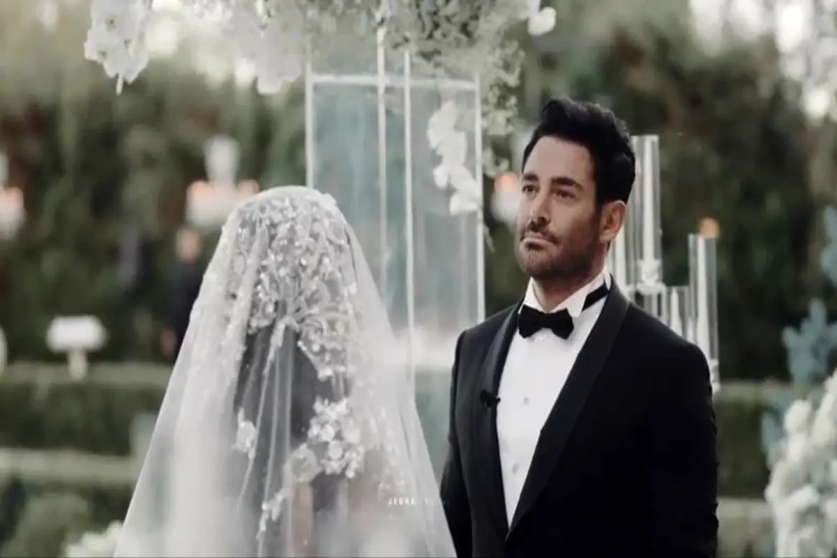 1130000_818