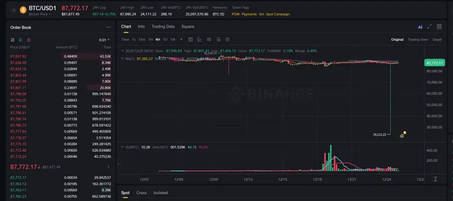 bitcoin-triggers-sharp-flash-crash-to-24k-on-binance-usd1-pair-