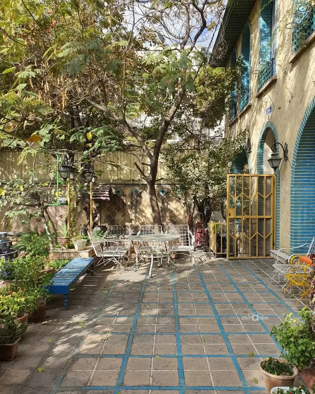 تصویر