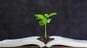 علل و تاثیرات تغییرات اقلیمی بر آموزش