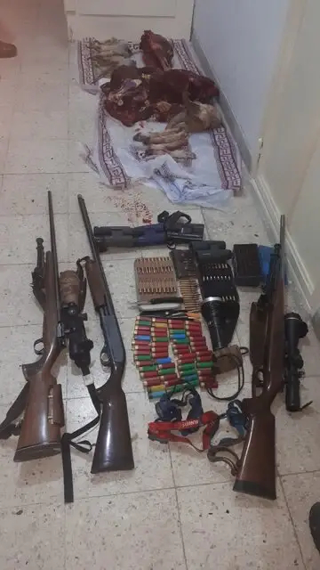 بازداشت ۶ شکارچی دامغانی/ کشف لاشه ۶ کل و قوچ و پرنده از شکارچیان