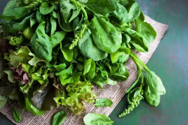 یک دسته سبزیجات روی یک ورق روزنامه