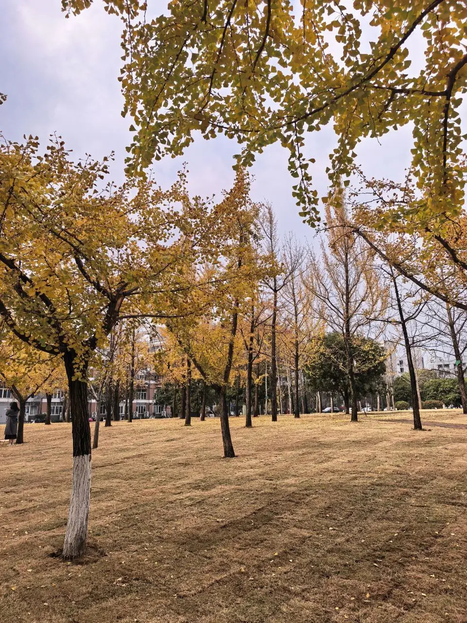 آنچه در چین ندیدم...