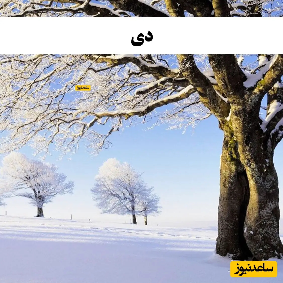 دی
