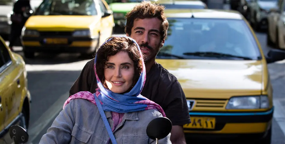 گوزن های اتوبان
