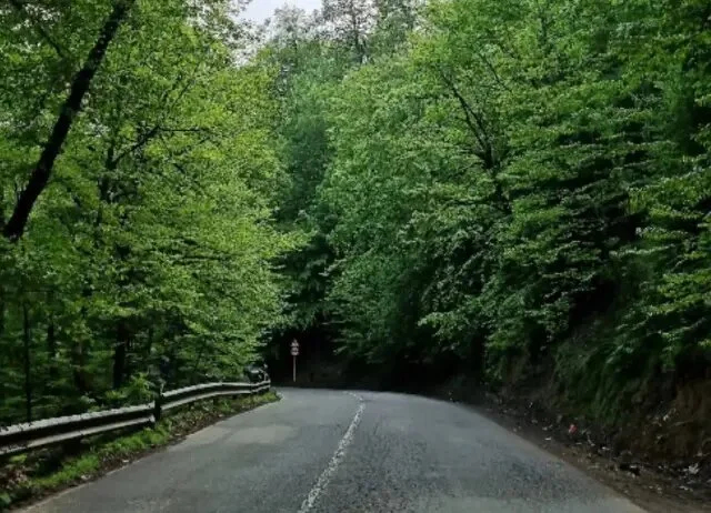 زیباترین جاده‌های ایران؛ ۱۰ مسیر دیدنی و خنک برای سفر تابستانی