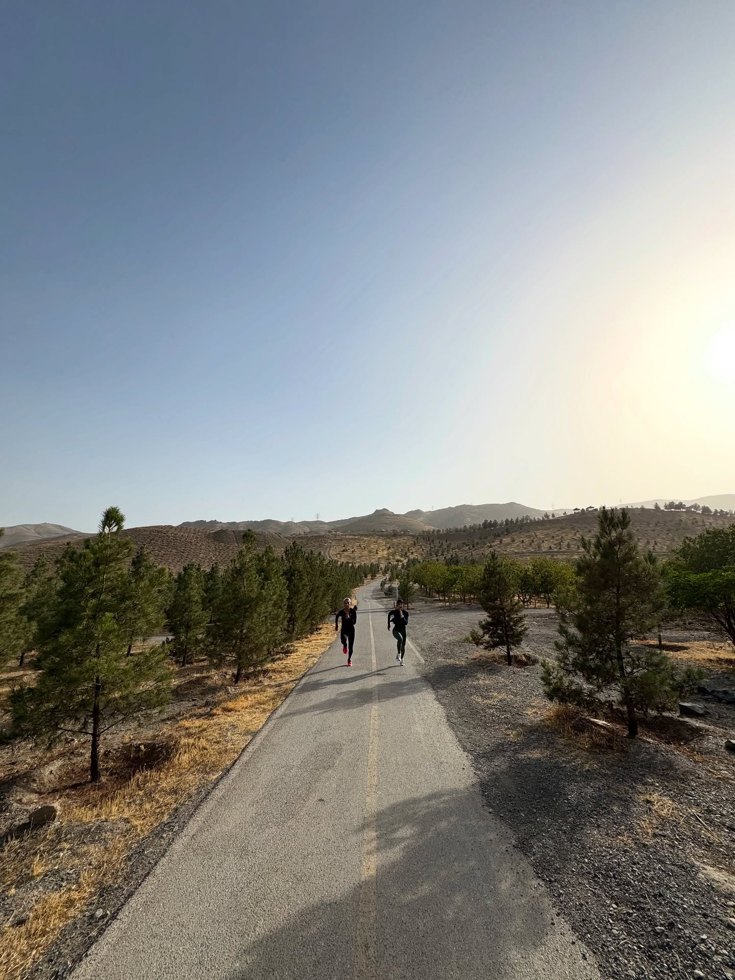 فائزه نسائی