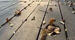 دیافراگم متغیر
