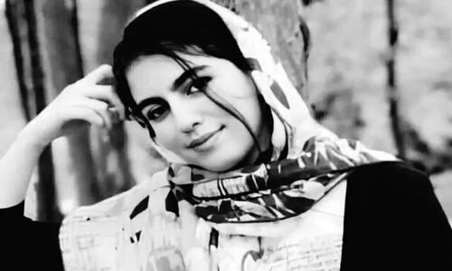 واکنش وکیل مرحومه الهه حسین‌نژاد به ادعای جعلی جمع‌آوری تفاضل دیه: هشدار به مردم!