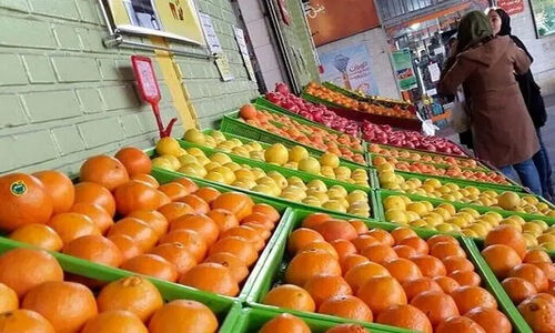 میوه‌های شب یلدا مستقیم از باغ به دست شما؛ قیمت‌های مصوب در اراک اعلام شد!