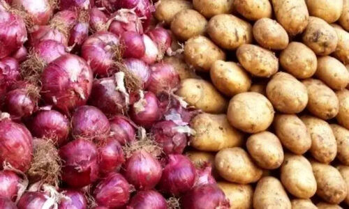 ذخیره‌سازی کافی سیب‌زمینی و پیاز؛ بازار شب یلدا در آرامش کامل است!