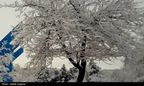 بارش‌های پراکنده برف و باران در یزد تا عصر؛ هشدار یخبندان شبانه نزدیک است!