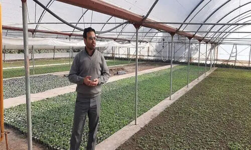شهرداری اردبیل سالانه ۳ میلیون گل و ۱۰۰ هزار درختچه تولید می‌کند؛ فرصتی طلایی برای اشتغال و صرفه‌جویی میلیاردی!