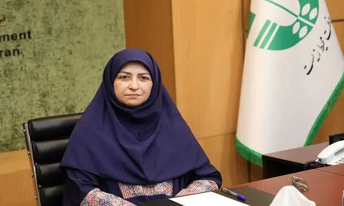 انصاری: یاد و خدمات ماندگار اشرف بروجردی هرگز فراموش نخواهد شد