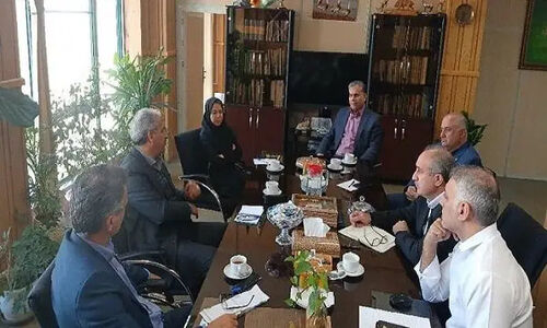 آفات و بیماری‌های گیاهی چگونه تهدیدی جدی برای جنگل‌های کشور شدند؟