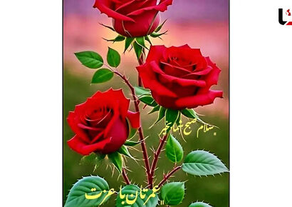فال قهوه پنجشنبه ۱۵ آبان ۱۴۰۴