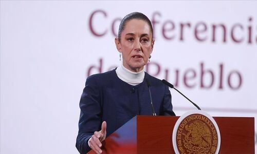 تعرض جنسی به رییس جمهور مکزیک در خیابان‌های پایتخت / شکایت خانم رییس از مرد متجاوز+ فیلم