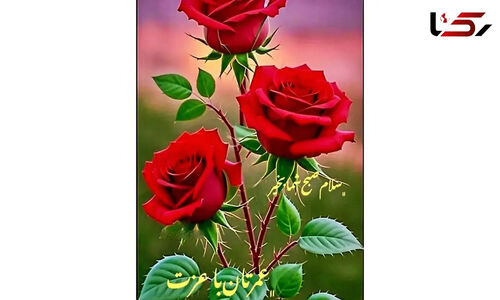 فال روزانه 27 آبان| توصیه‌های شگفت‌انگیز برای متولدین هر ماه که نباید از دست بدهید!