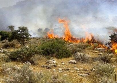 دستگیری عامل آتش‌سوزی‌ در جنگل‌های هیرکانی