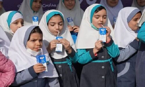 شیر رایگان برای همه دانش‌آموزان ابتدایی گلستان؛ آغاز طرحی بی‌سابقه از دی ماه!