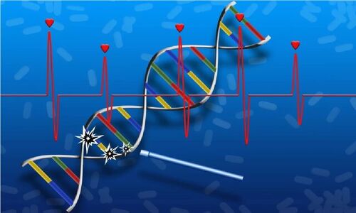 انقلابی در پزشکی: کشف نخستین داروی ترمیم DNA و بازسازی بافت‌های آسیب‌دیده!