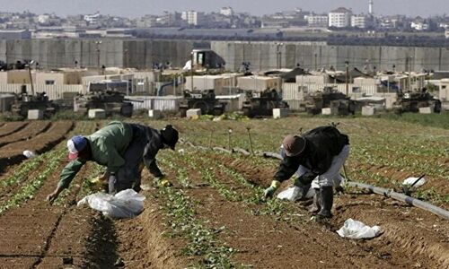 ایران طرحی بی‌سروصدا برای ضربه به کشاورزی اسرائیل اجرا می‌کند؟