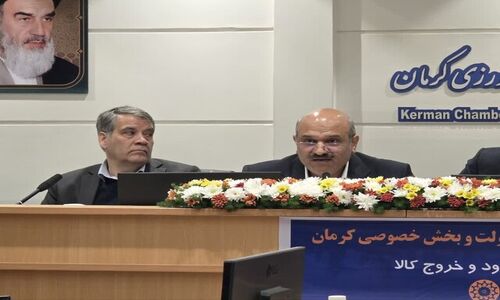 معاون گمرک: بخش خصوصی باید نقش سیاست‌گذاری را به دست بگیرد تا مشکلات واردات و صادرات حل شود!