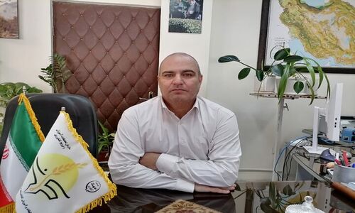 آژیر قرمز فرسایش خاک در کرمان: بیش از ۲۰ تن خاک در هر هکتار از دست می‌رود!