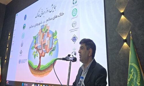 چرا خاک، کلید راز حیات و سلامت شهرهای ماست؟ کشف اهمیت خاک در همایش جهانی!