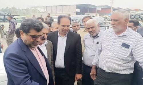 محسنی هشدار داد؛ بسته‌بندی ضعیف محصولات کشاورزی، عامل سقوط قیمت‌ها!