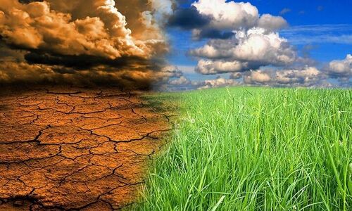 دستاورد شگفت‌انگیز سی‌امین کنفرانس تغییر اقلیم: سرمایه مالی سه برابر شد!