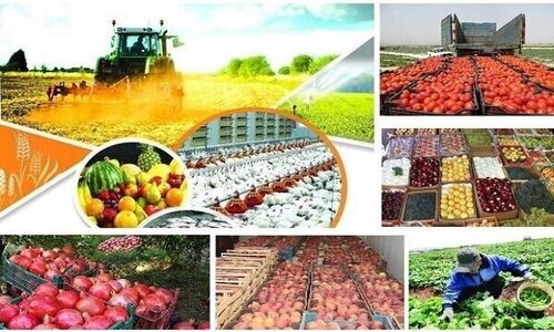 شوک قیمت‌ها؛ محصولاتی که تا ۲۰۵ درصد گران شدند!