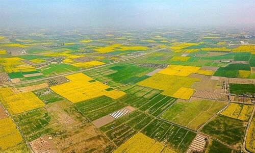 وعده بزرگ قوه قضاییه: صدور سند مالکیت برای همه املاک تا پایان سال جاری!
