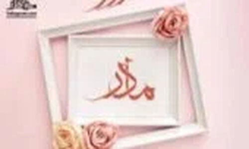 اولین کنسرت رسمی محمدرضا شایع به روایت تصاویر جذاب گنگ!