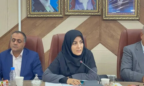 جلیلی مقدم خبر داد: وزارت کشاورزی فقط به احیای باغات کیوی اولویت می‌دهد!