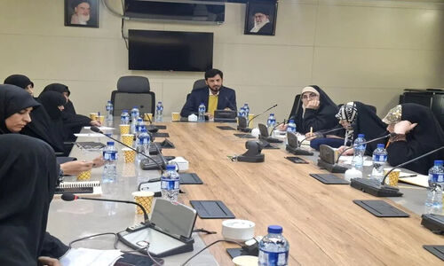 مهدی‌زاده هشدار داد: شکاف نسلی عمیق، درک فرهنگی ما را به چالش کشید!