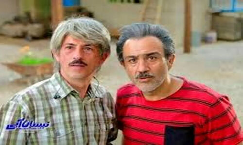 وکیلی افشا کرد: مجلس بیش از دولت در سرنوشت کابینه تاثیرگذار است!