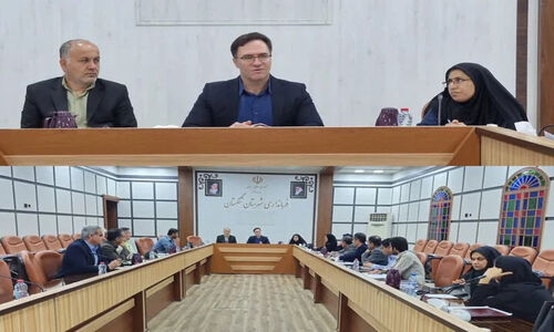 فرماندار تنگستان: تسهیلات بانکی باید سریع‌تر به کارآفرینان واقعی برسد!