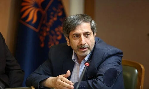 ظریفیان: دولت شجاعانه واقعیت‌های کشور را با تصمیم‌گیران مطرح کند؛ آیا نقدها منصفانه است؟