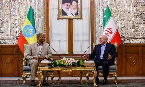 دیدار مهم قالیباف با رئیس مجلس اتیوپی در بهارستان؛ چه موضوعاتی مطرح شد؟